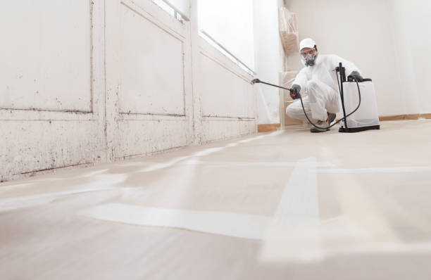 24/7 Emergency Basement Mold Remediation experts in Dry Run, PA